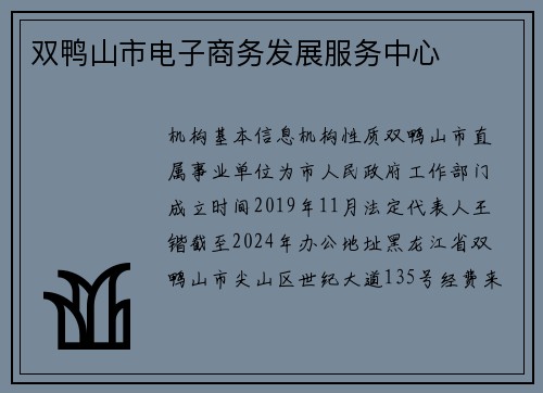 双鸭山市电子商务发展服务中心