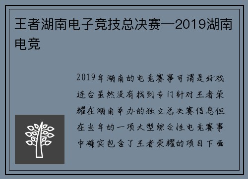 王者湖南电子竞技总决赛—2019湖南电竞